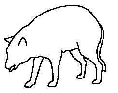 244x192 How A Wolf Communicates Through Its Tail And Body Posture