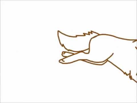 480x360 Wolves Fighting Animation Sketch