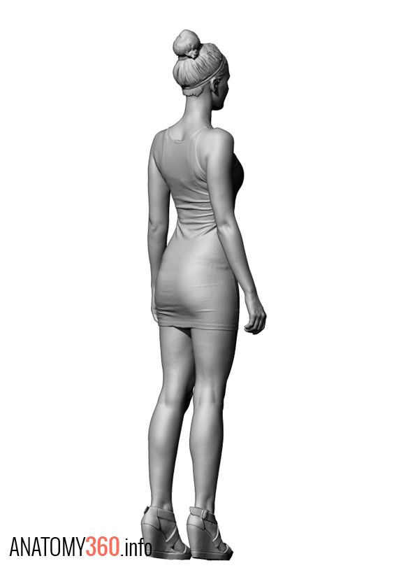 574x815 anatomy female clothing reference, tight dress body