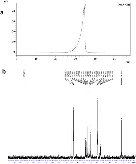 569x685 Chitosan Nanoparticles Having Higher Degree Of Acetylation Induce