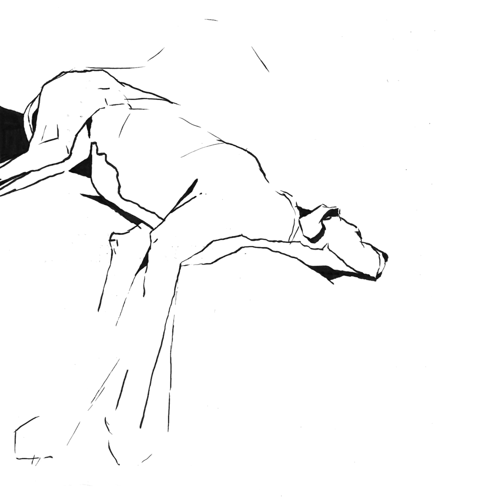 1000x988 Janke Architecture