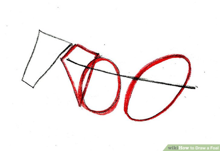 728x501 how to draw a foal steps