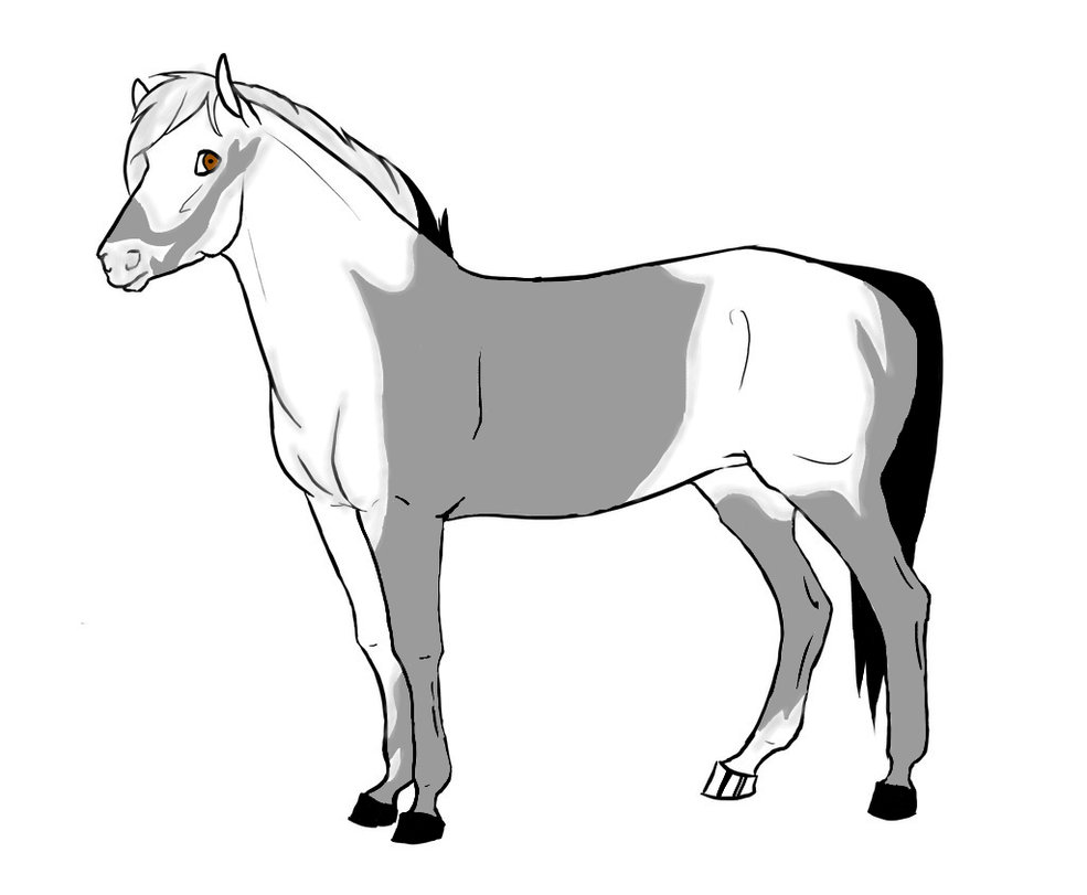985x811 Mare Lineart Adoptable For Free Download