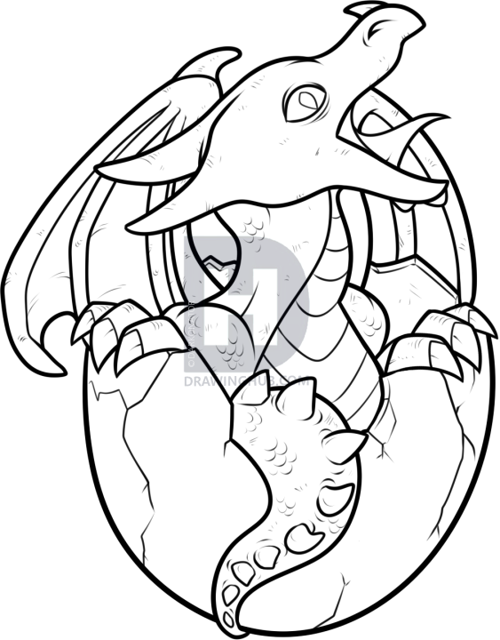 563x720 how to draw a realistic dragon hatchling, step