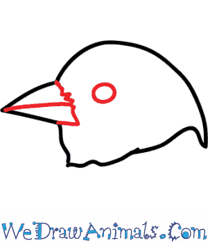 300x350 How To Draw A Goldfinch