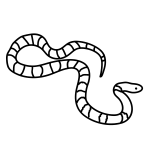 300x300 how to draw a finch