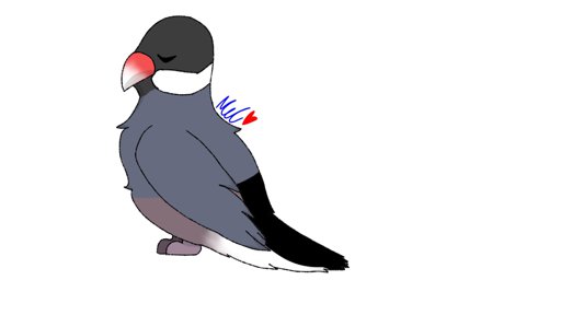 512x288 java finch drawing birds amino amino