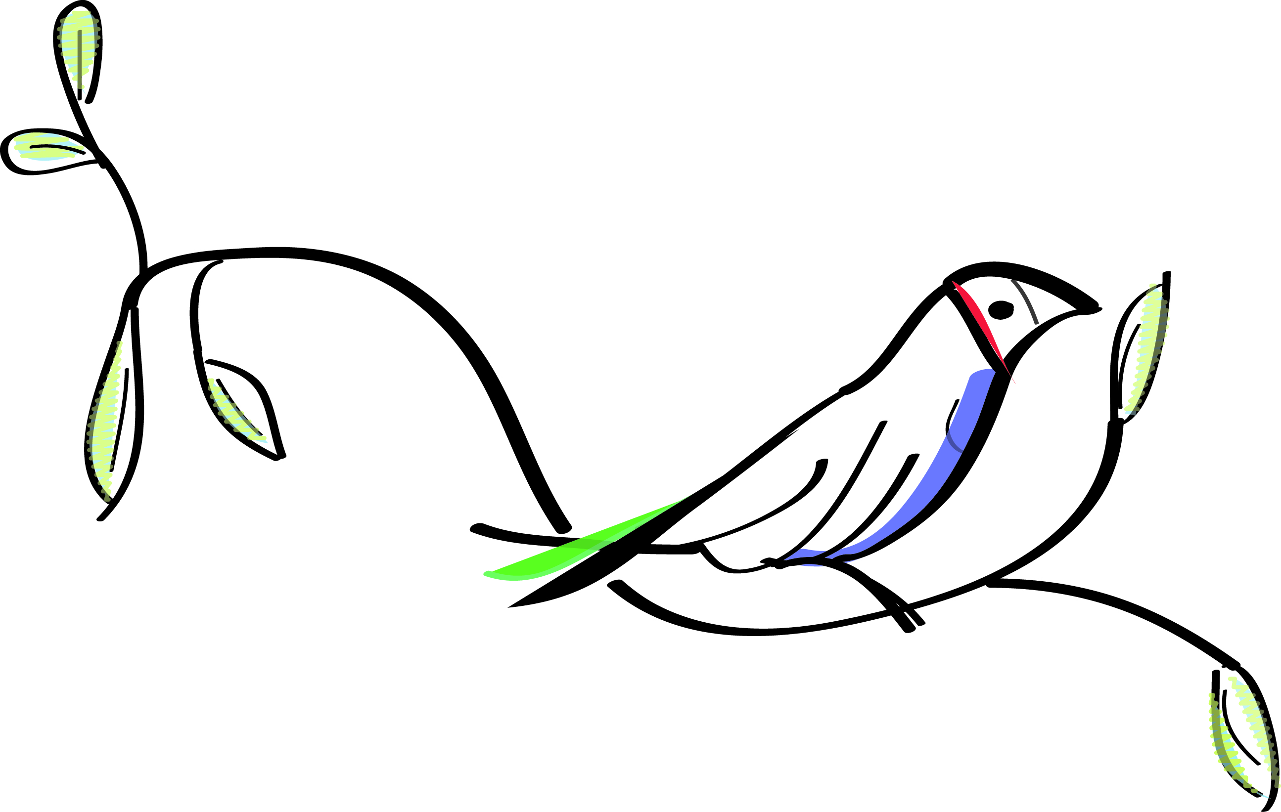 2590x1643 the finch farm