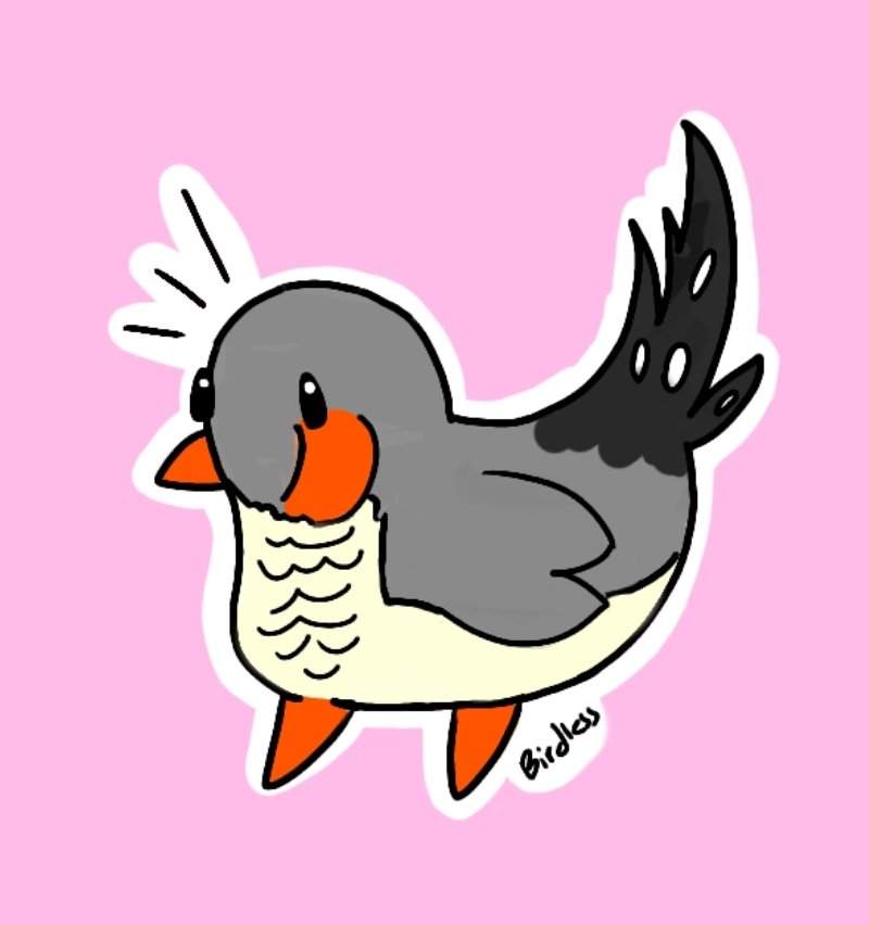 800x852 zebra finch drawing! birds amino amino