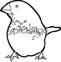 198x200 download freehand icon from pictofigo for zebra finch