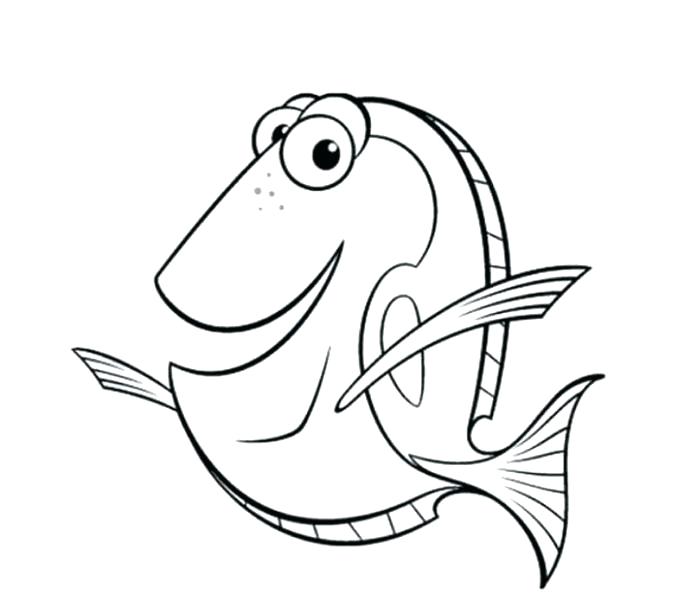 678x600 How To Draw Nemo Characters Step