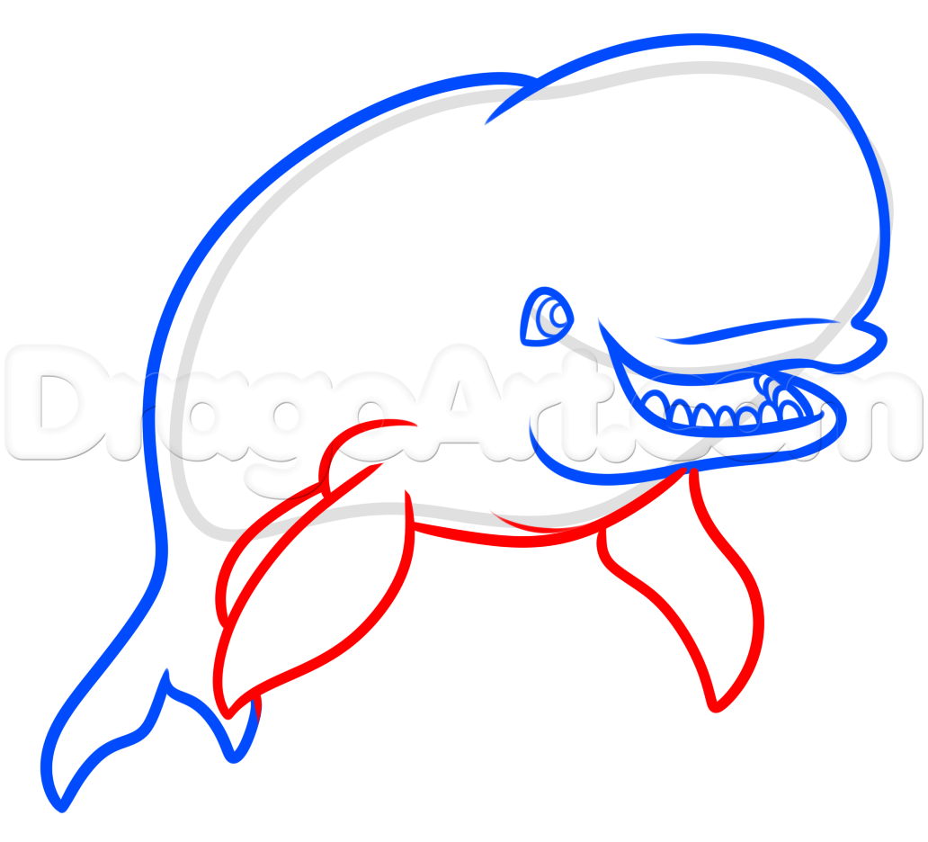 1032x936 How To Draw Bailey From Finding Dory, Step