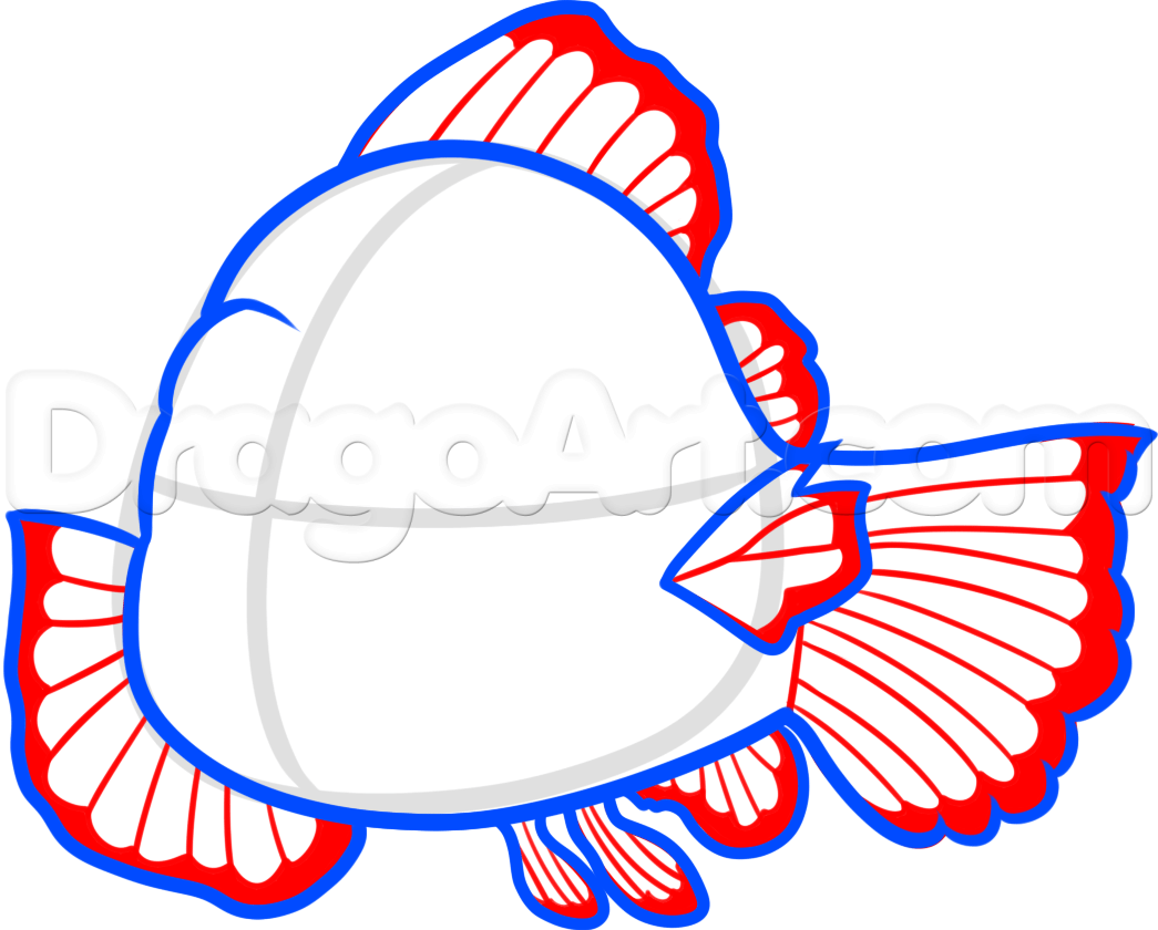 1045x840 Step How To Draw Nemo From Finding Dory