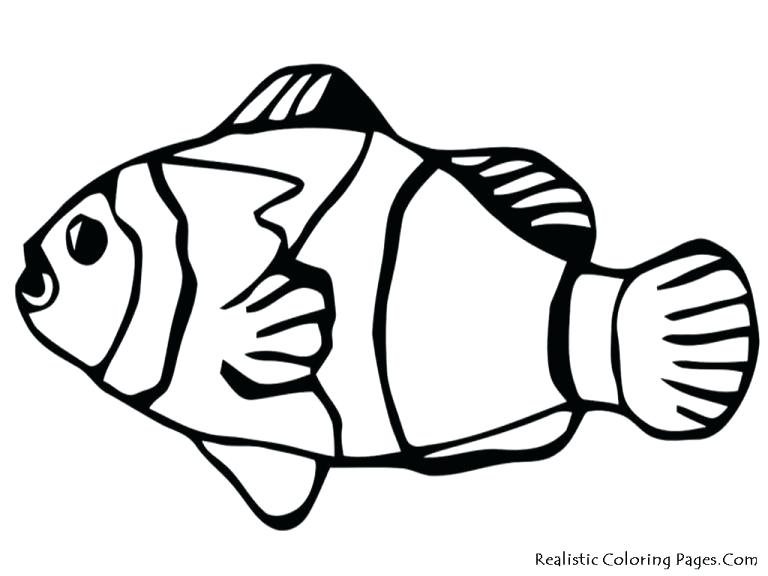 768x576 Finding Nemo Fish Tank Coloring Pages Clown