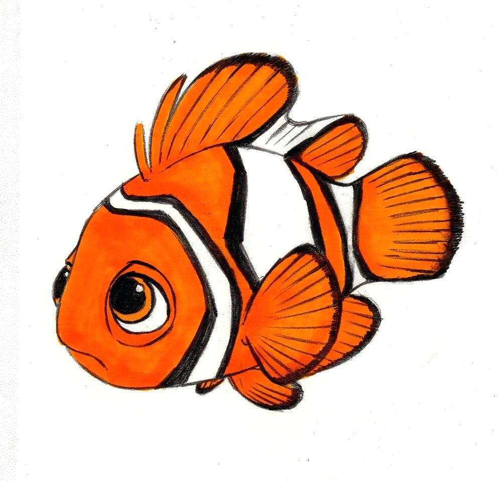 1000x959 How To Draw Nemo Characters Step
