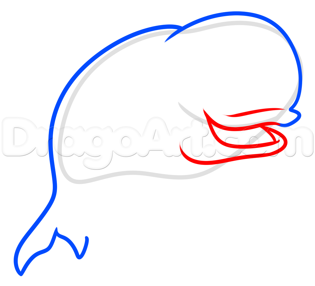 1032x936 How To Draw Bailey From Finding Dory, Step