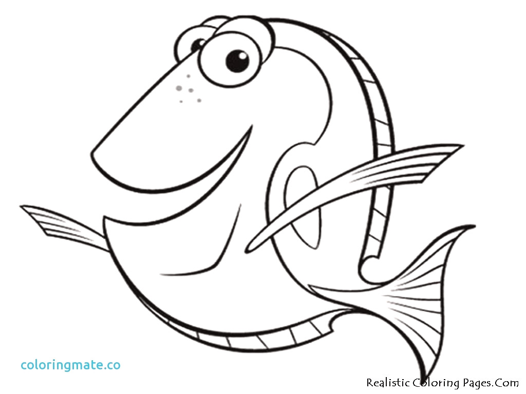 1024x768 Awesome Finding Nemo Coloring