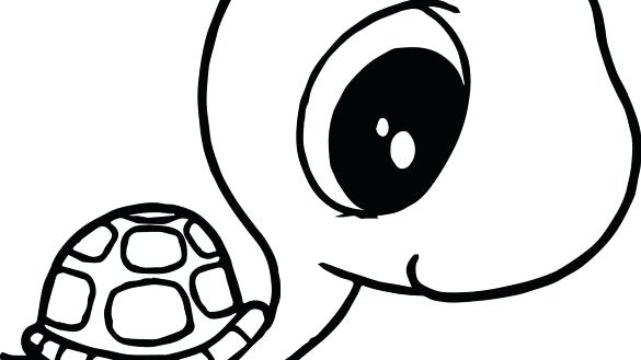585x329 Baby Turtle Drawing How Mom And Baby Turtle Drawing