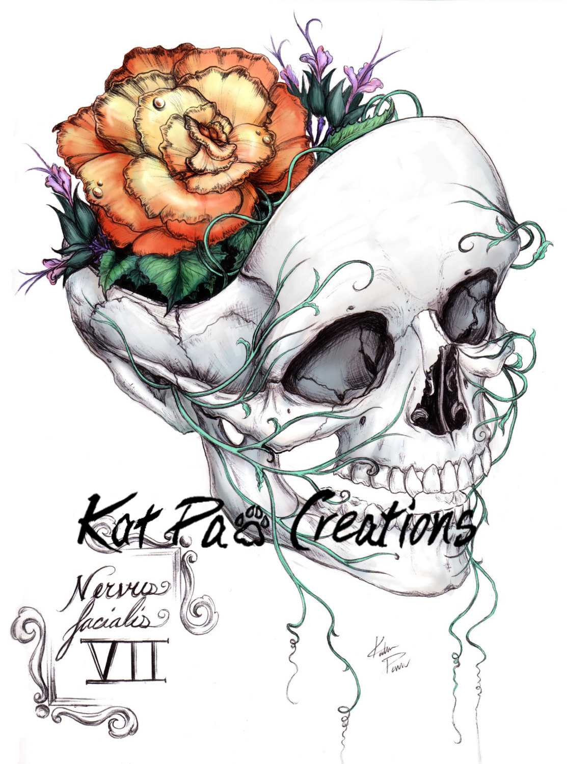 1113x1500 Flower Skull Fine Art Print Drawing Etsy
