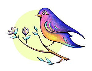 300x232 Bonito Drawings Fine Art America