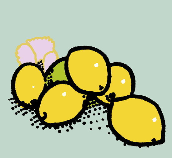 550x507 Current Work