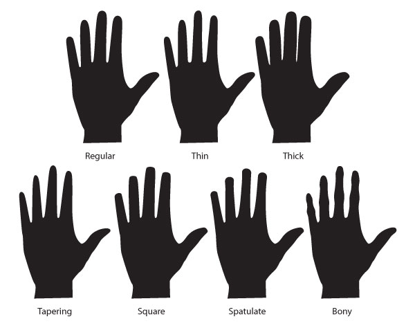 600x474 Human Anatomy Fundamentals How To Draw Hands