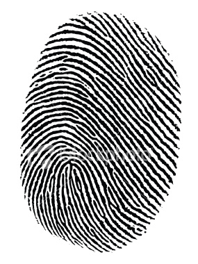 285x380 Fingerprinting