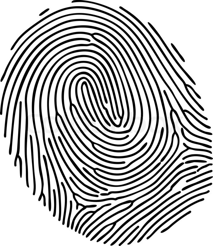 693x800 Vector Black Fingerprint On White Stock Vector Colourbox