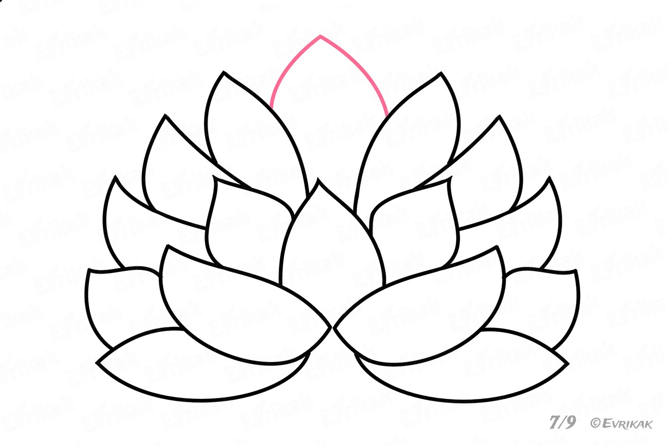1300x867 How To Draw A Lotus Step