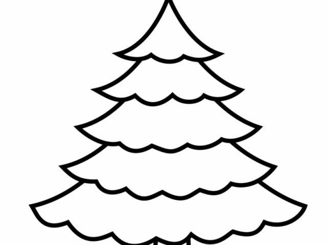 640x480 Free Drawn Fir Tree, Download Free Clip Art