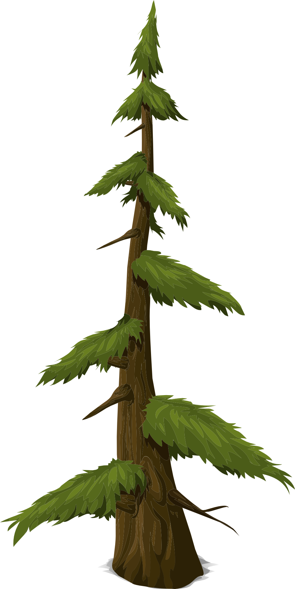 963x1920 Graphic Drawing Of A Fir Tree Free Image