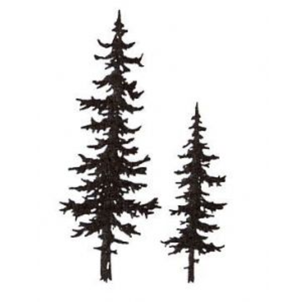600x600 Pine, Tree, Drawing, Transparent Png Image Clipart Free Download