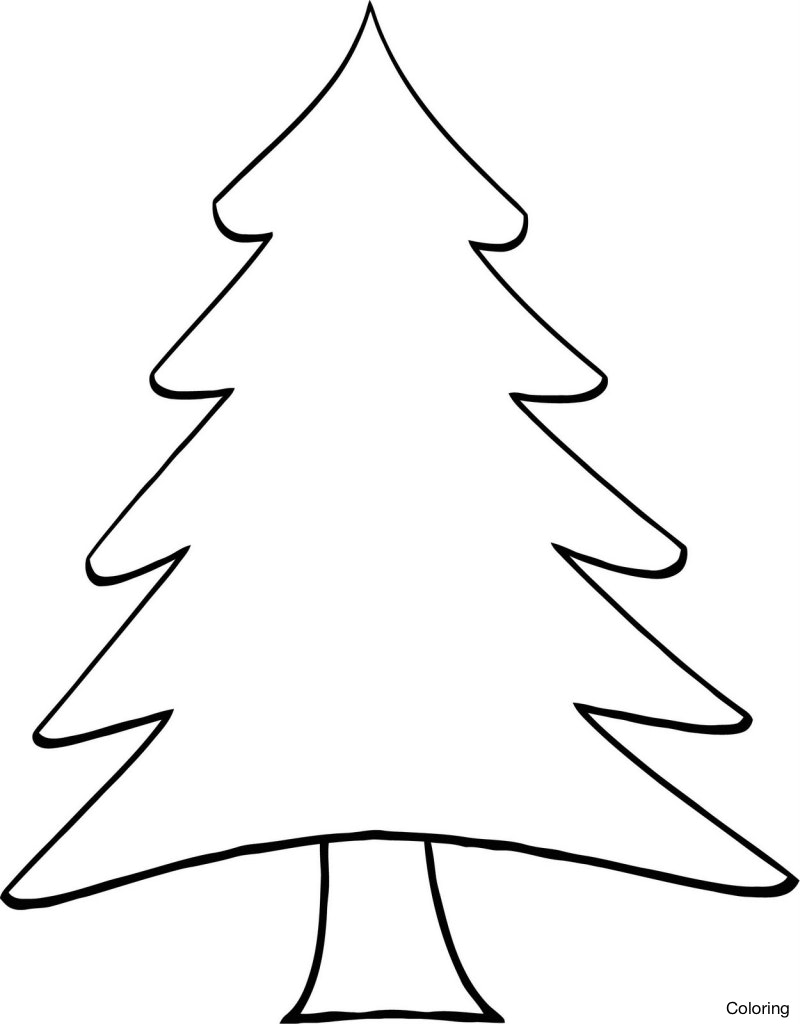 800x1024 Reward Fir Tree Coloring