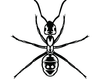 340x270 Fire Ants Etsy