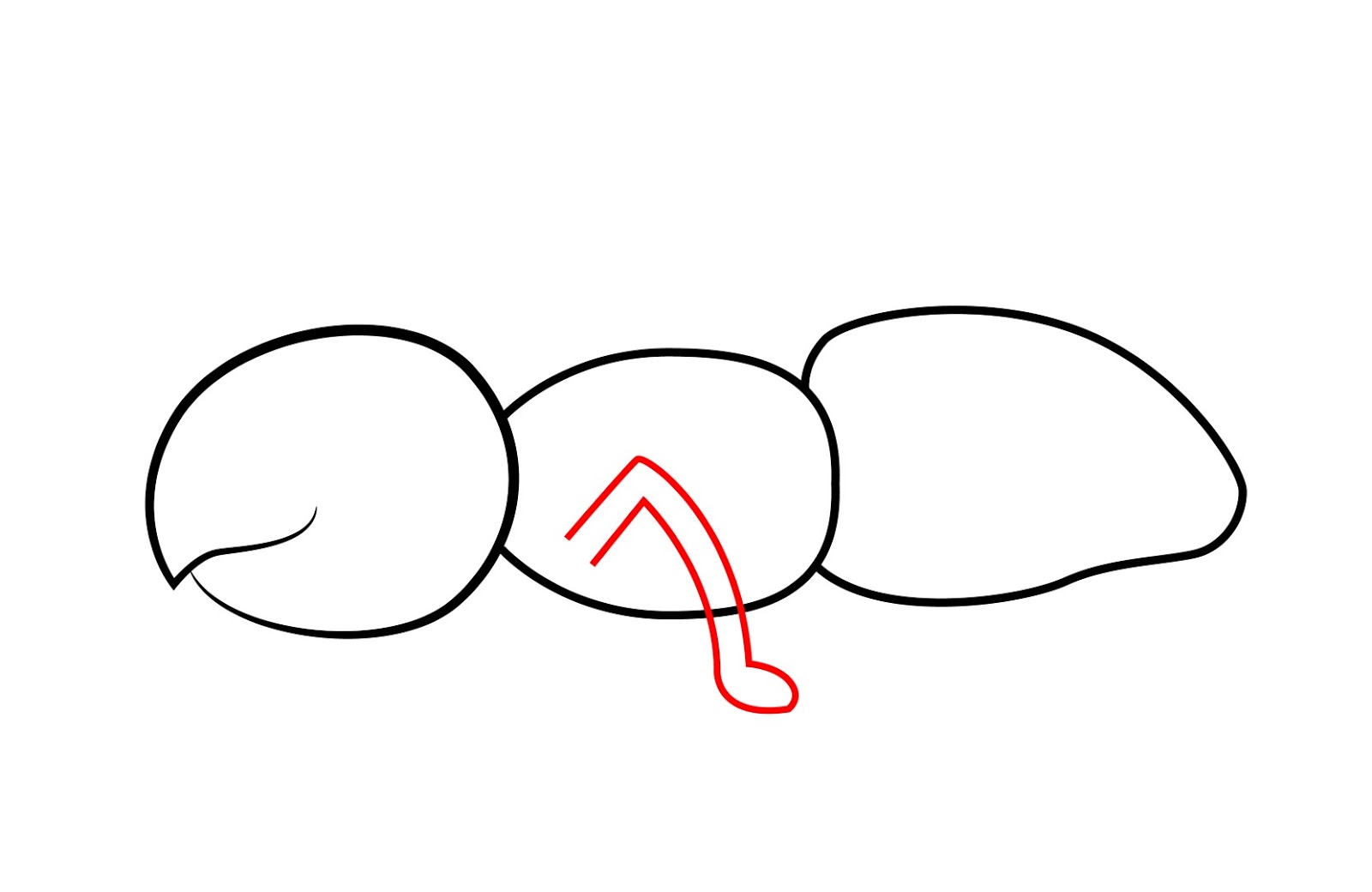 1600x1040 How To Draw A Cartoon Ant