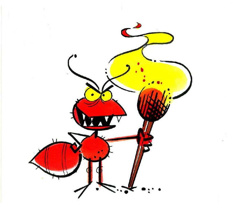 800x696 In The Garden