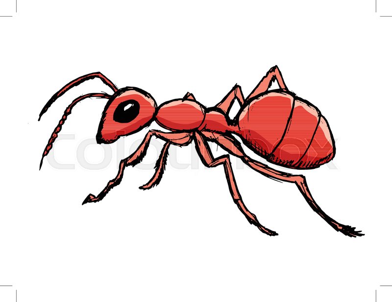 Fire Ant Drawing Free download on ClipArtMag