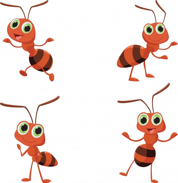 626x641 Ant Vectors, Photos And Free Download