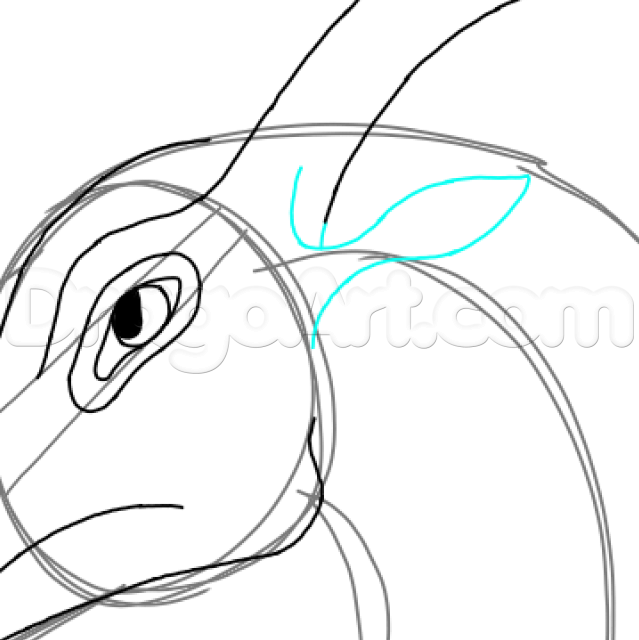 639x640 How To Draw Leafwing, Wings Of Fire, Step