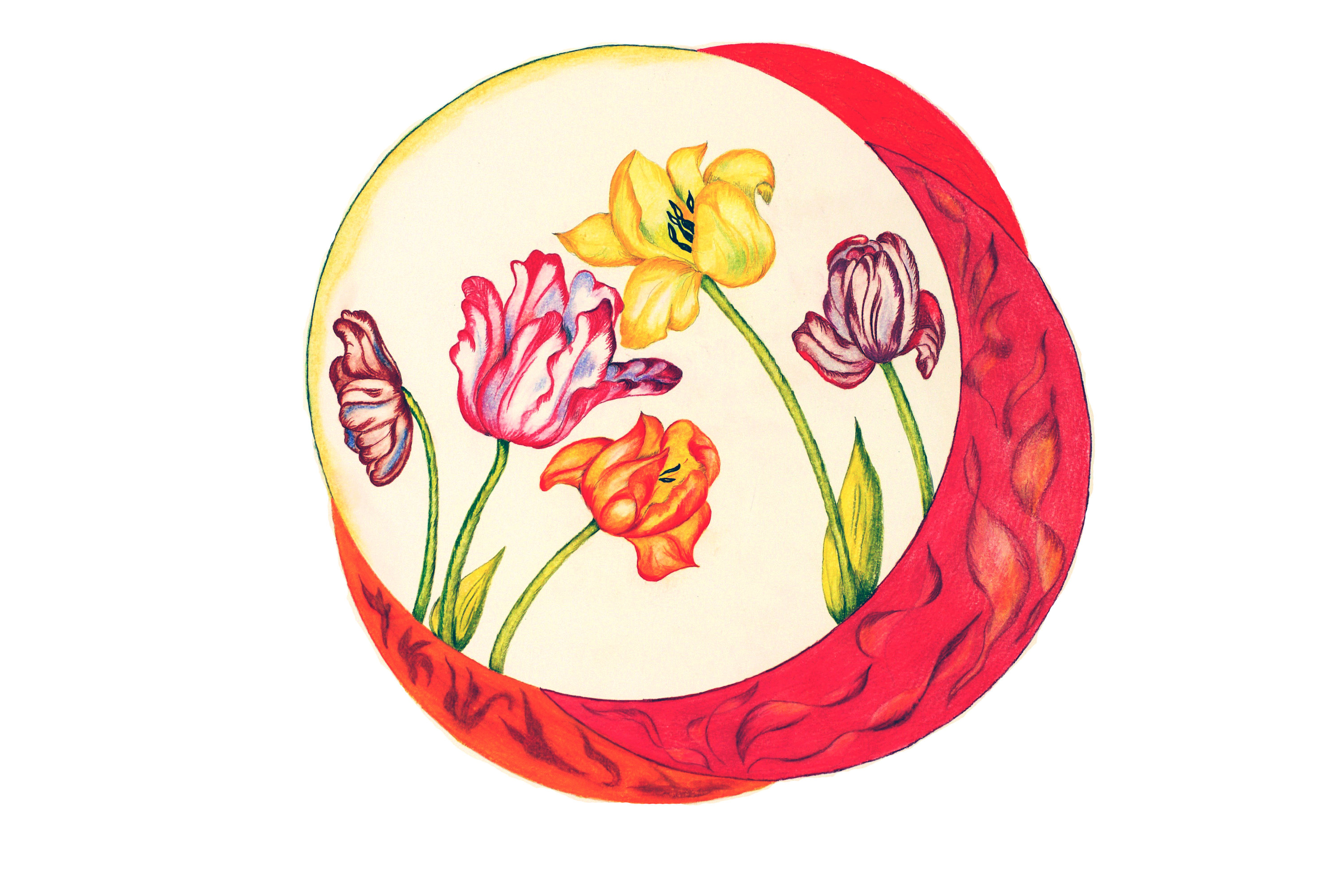 3000x2000 a tulip composition original art feng shui fire element red etsy