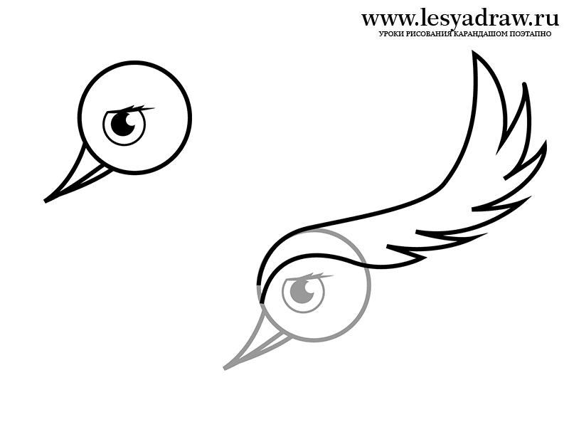 800x600 How To Draw The Firebird With A Pencil Step