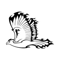 250x250 T Shirt Clip Art For Firebirds