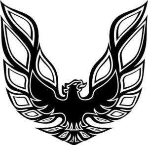 300x294 pontiac firebird logo