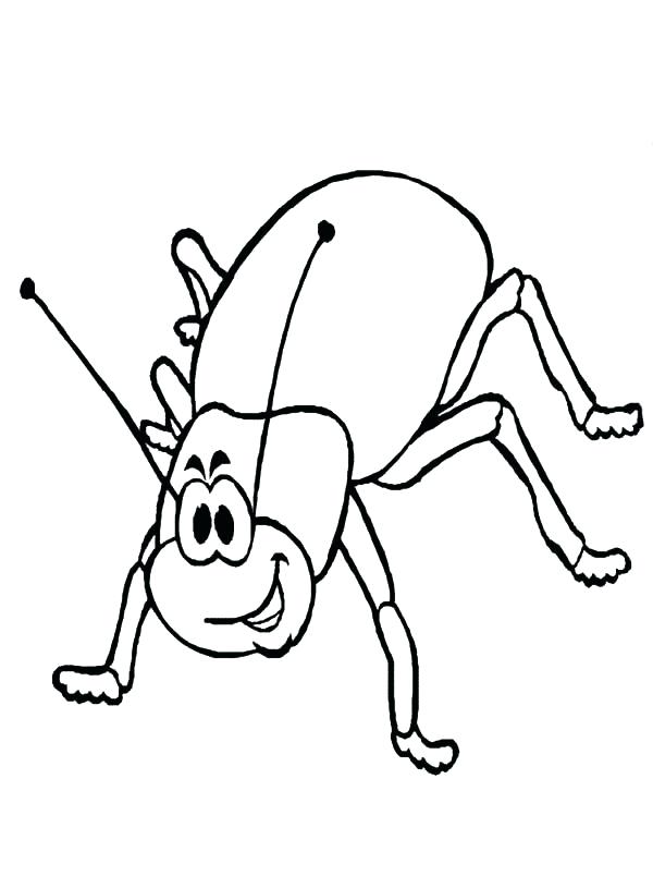 600x804 Firefly Coloring