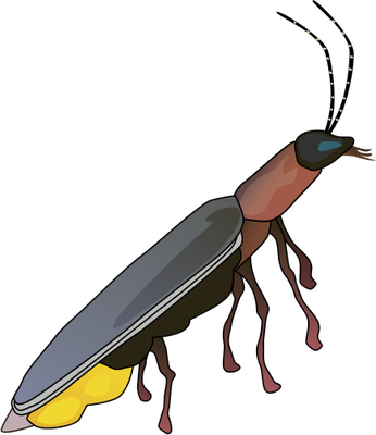 346x400 Firefly Vector Free Download On Unixtitan