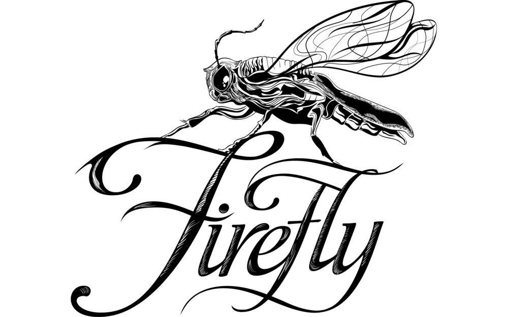 1000x625 New Firefly Website, Examples, Primer Lift Architects