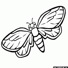 230x230 Fireflies Coloring Pages