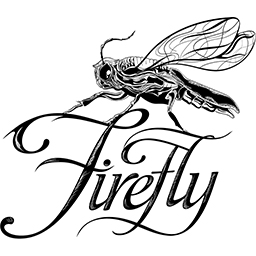 256x256 Firefly