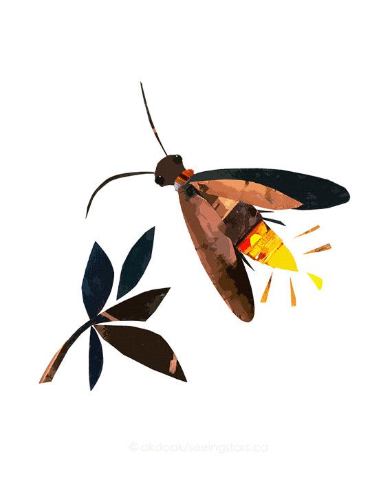 570x704 Firefly Lightning Bug X Print Of An Original Collage