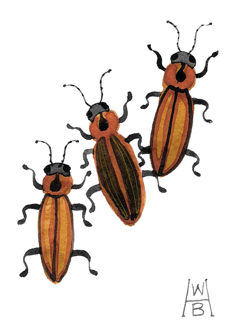 450x638 Golly Bard's Drawing Room Firefly